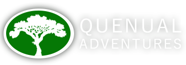 Quenual Adventures